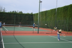 IMGP3147