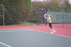 IMGP3153